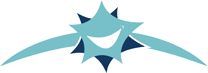 A stylized blue star web design logo with a white smile in the center.