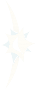 A white, four-pointed star graphic with a crescent cutout, styled for a Mill Creek kids dentist.