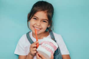 A smiling young girl holding a toothbrush and a dental model, representing the care provided by kids dentists in Mill Creek.